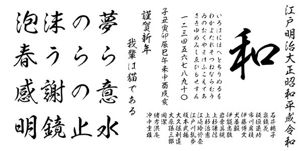 Card displaying ShinryuSou typeface in various styles