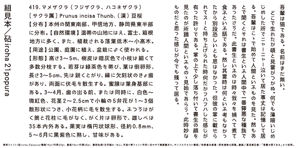 Card displaying Kinuta iroha 21popura StdN typeface in various styles