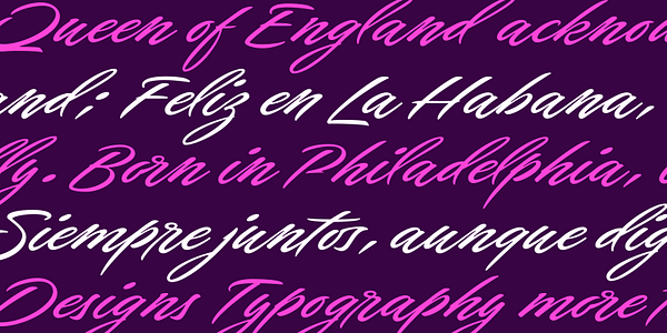 Card displaying Live typeface in various styles