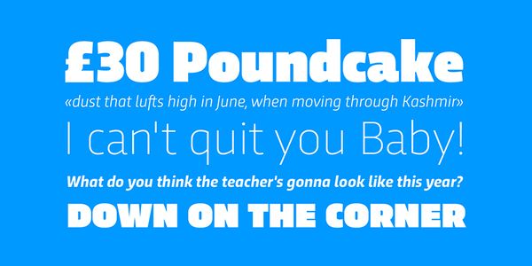 Card displaying Trasandina  typeface in various styles