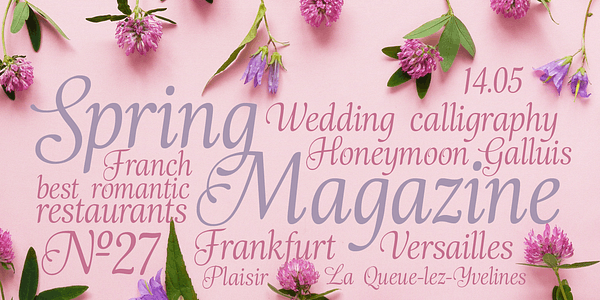 Card displaying Emploi typeface in various styles