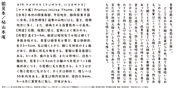 Card displaying Kinuta Yamamotoan StdN typeface in various styles