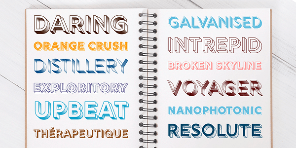 Card displaying Rig Solid typeface in various styles