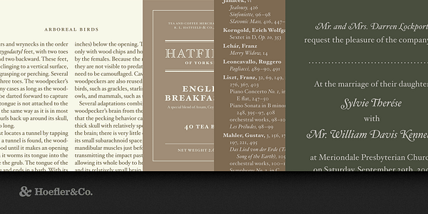 Card displaying Hoefler Text typeface in various styles