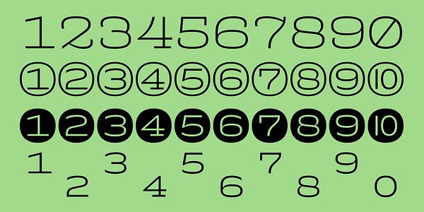 Card displaying Whale typeface in various styles