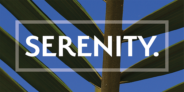 Card displaying Serenity typeface in various styles