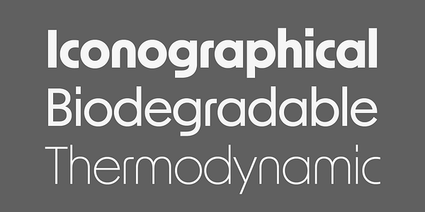 Card displaying New Order typeface in various styles