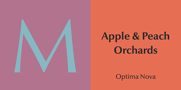 Card displaying Optima Nova typeface in various styles