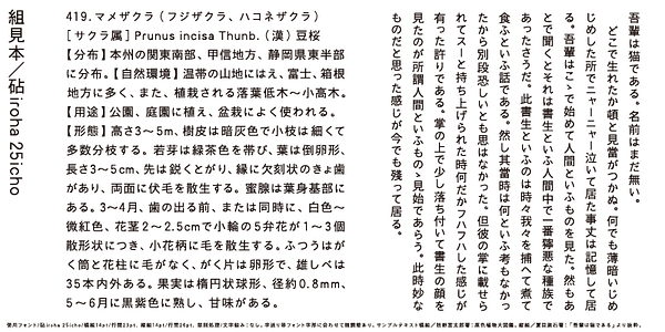 Card displaying Kinuta iroha 25icho StdN typeface in various styles