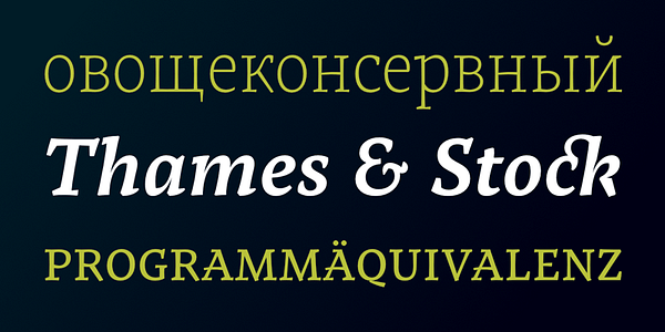 Card displaying Tzimmes typeface in various styles