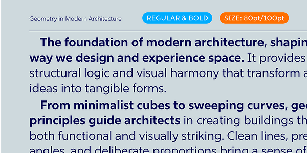 Card displaying Rig Sans typeface in various styles