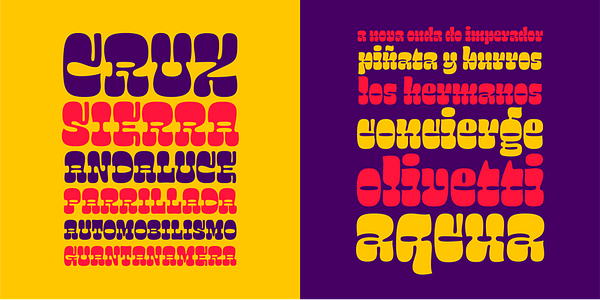 Card displaying Salsero typeface in various styles