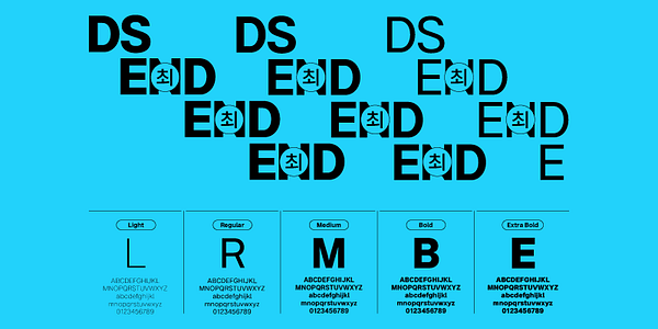 Card displaying DS EndEndEnd typeface in various styles