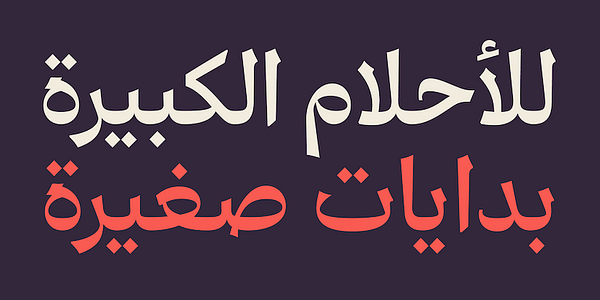 Card displaying Risala Variable typeface in various styles