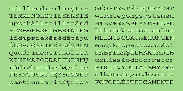 Card displaying Whale typeface in various styles