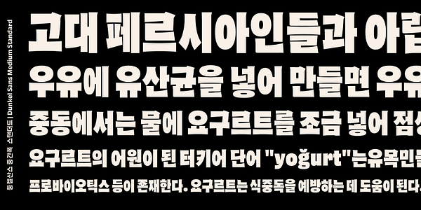 Card displaying Dunkel Sans Standard typeface in various styles