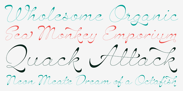 Card displaying Hazel Script typeface in various styles