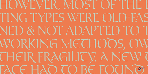 Card displaying Aukio typeface in various styles