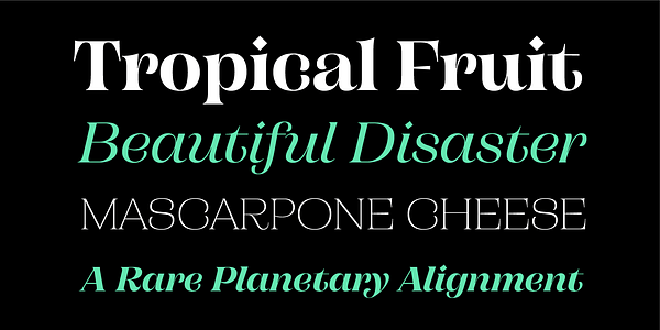 Card displaying Campaign Serif typeface in various styles