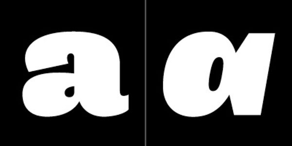 Card displaying Maple typeface in various styles