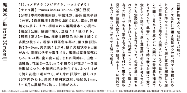 Card displaying Kinuta iroha 30momiji StdN typeface in various styles