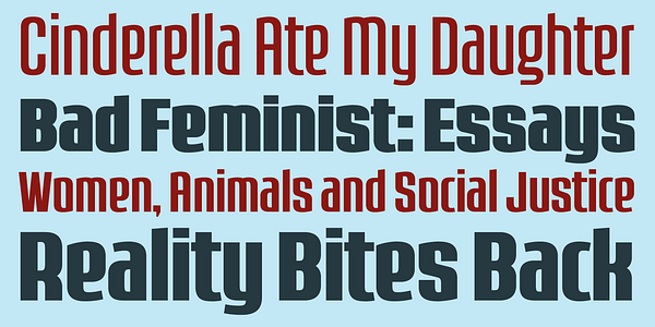 Card displaying Bellucci typeface in various styles