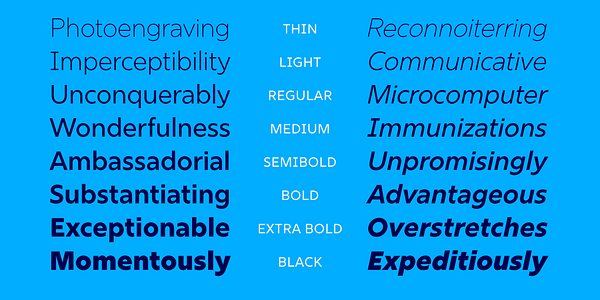 Card displaying Rig Sans typeface in various styles