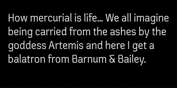 Card displaying Chikki Devanagari typeface in various styles