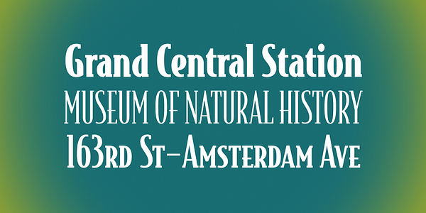 Card displaying Bodega Serif typeface in various styles