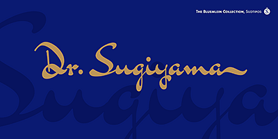 Card displaying Bluemlein Script Collection typeface in various styles