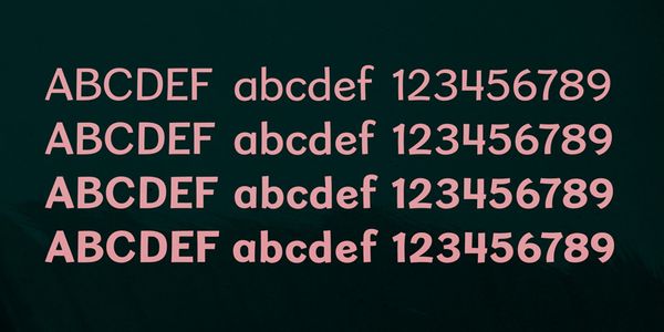 Card displaying Sweater School typeface in various styles