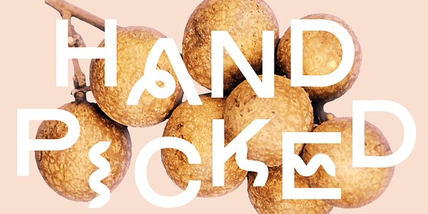 Card displaying COMBA typeface in various styles