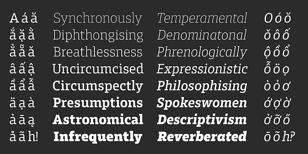 Card displaying Enra Slab Variable typeface in various styles