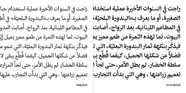 Card displaying Eskorte Arabic typeface in various styles