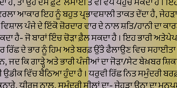 Card displaying Sarvatrik Gurmukhi typeface in various styles