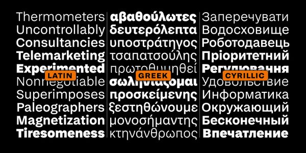 Card displaying Early Sans Variable typeface in various styles