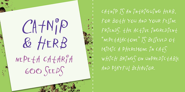 Card displaying Catnip typeface in various styles