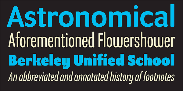 Card displaying Program typeface in various styles