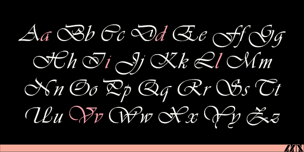 Card displaying Vivaldi MN typeface in various styles