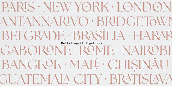 Card displaying The Seasons typeface in various styles