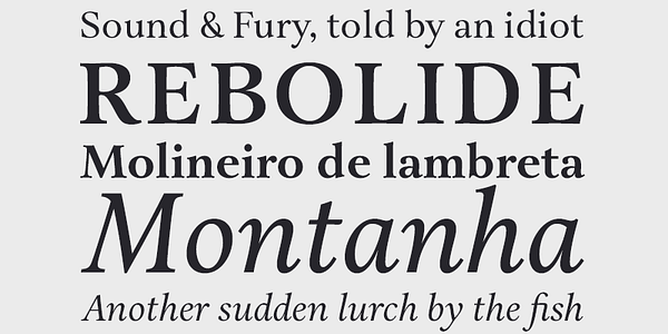 Card displaying Aria Text typeface in various styles