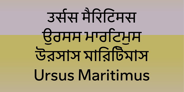 Card displaying Sarvatrik Gurmukhi typeface in various styles