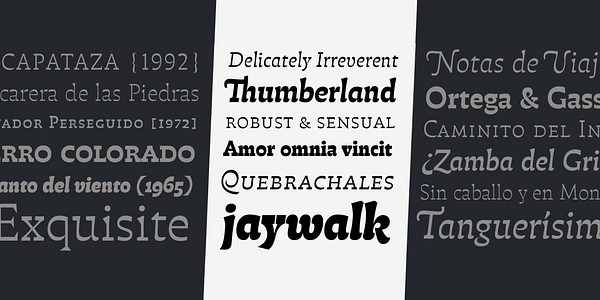 Card displaying Atahualpa typeface in various styles