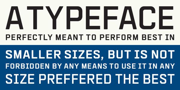 Card displaying Tassista typeface in various styles