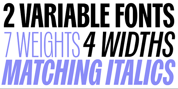 Card displaying Spent Variable typeface in various styles