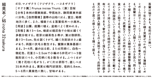 Card displaying Kinuta iroha 32sakura StdN typeface in various styles