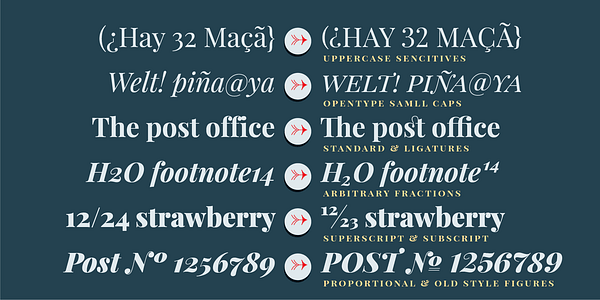 Card displaying Playfair Display typeface in various styles