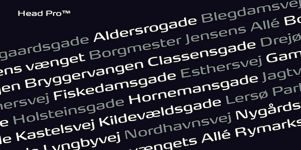 Card displaying FP Head typeface in various styles