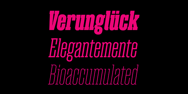Card displaying Magno Serif Variable typeface in various styles