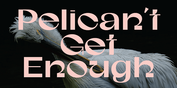 Card displaying Gunter typeface in various styles